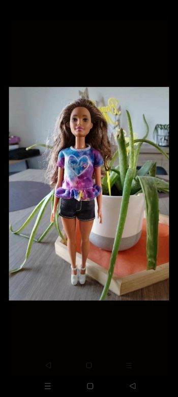 Barbie Fashionistas