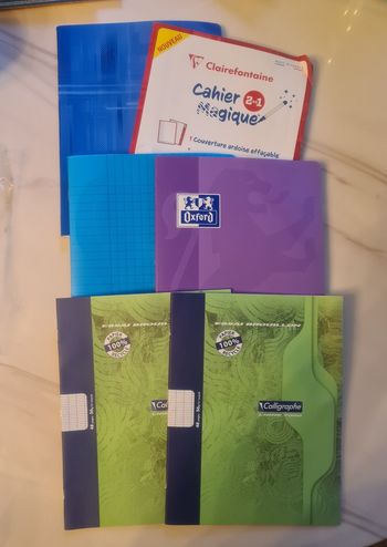 Lot de cahiers petit format NEUFS