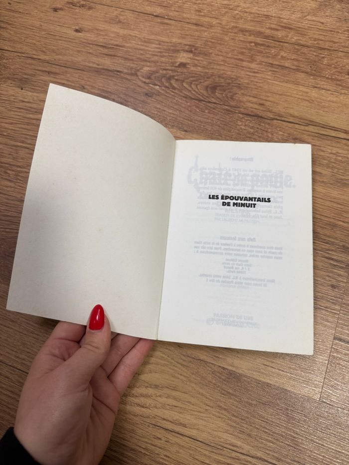 Chair de poule – Les épouvantails de minuit – R.L. Stine bon état - photo numéro 2