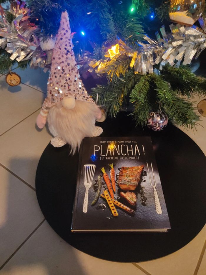 Plancha et barbecue