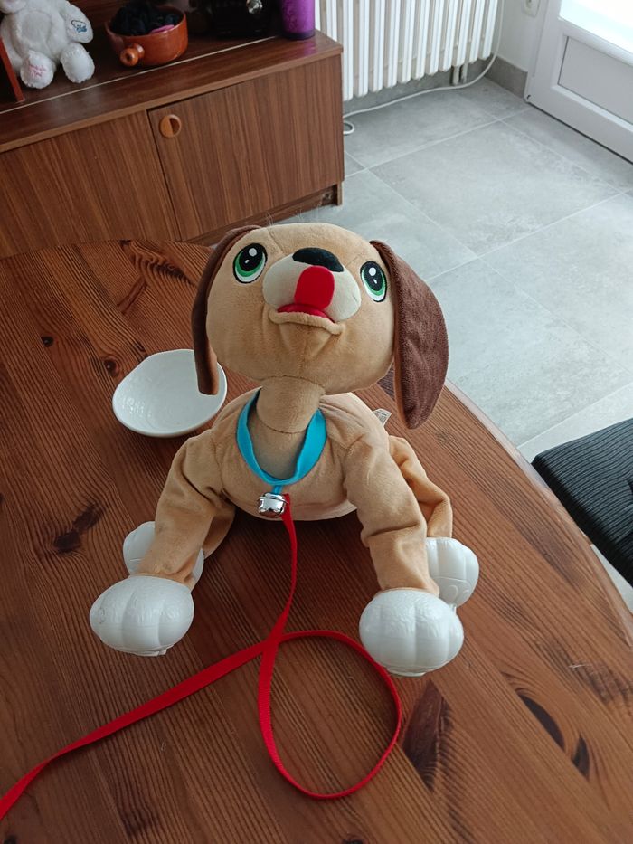 Chien toufou - photo numéro 6