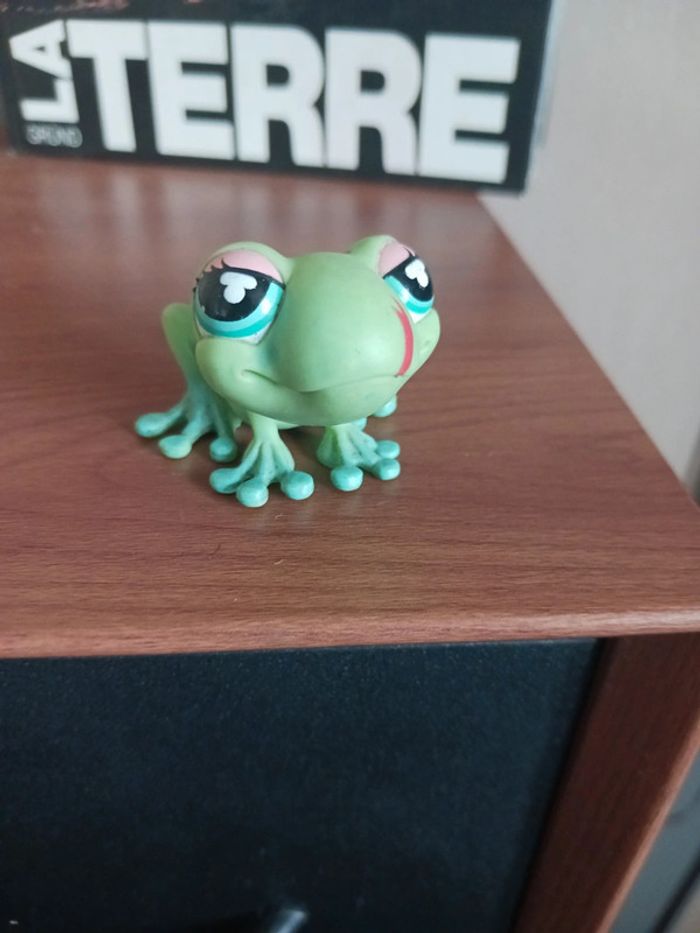 Petshop grenouille #474 - photo numéro 2