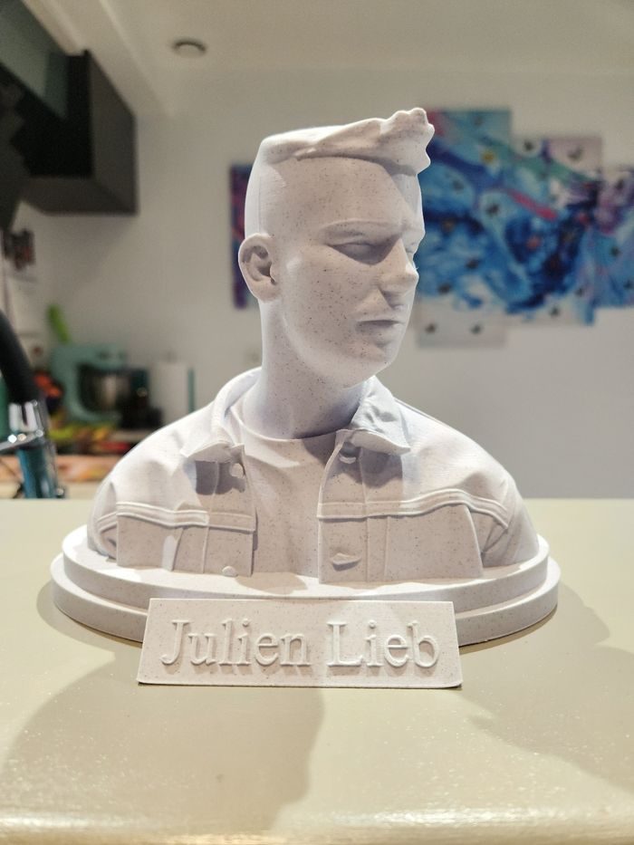 🎶 Star Académie – Julien Lieb – Buste collector – Figurine décorative - photo numéro 8