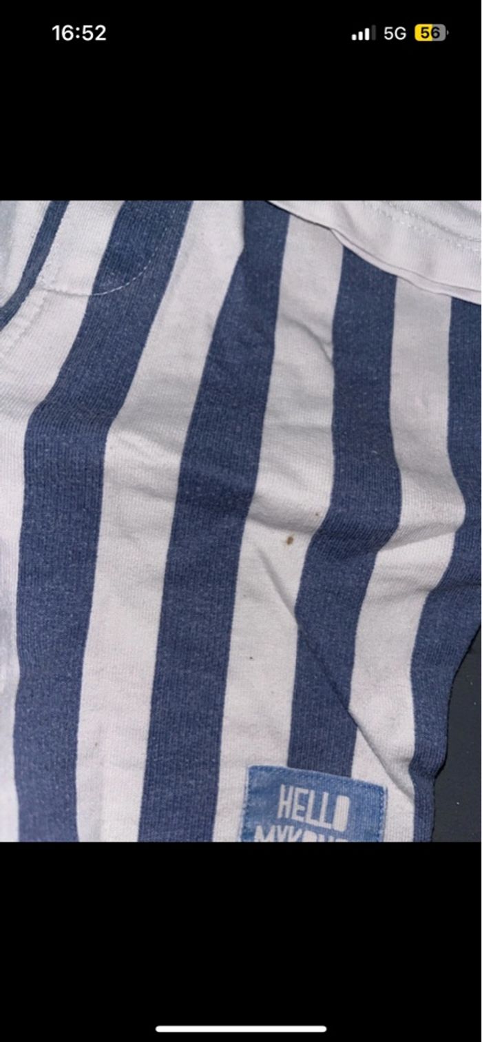 Ensemble Zèbre - photo numéro 2