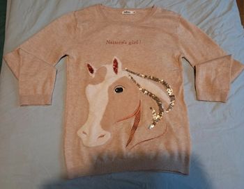 Pull 10ans Gémo