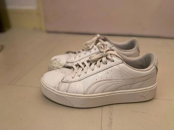 Puma basket