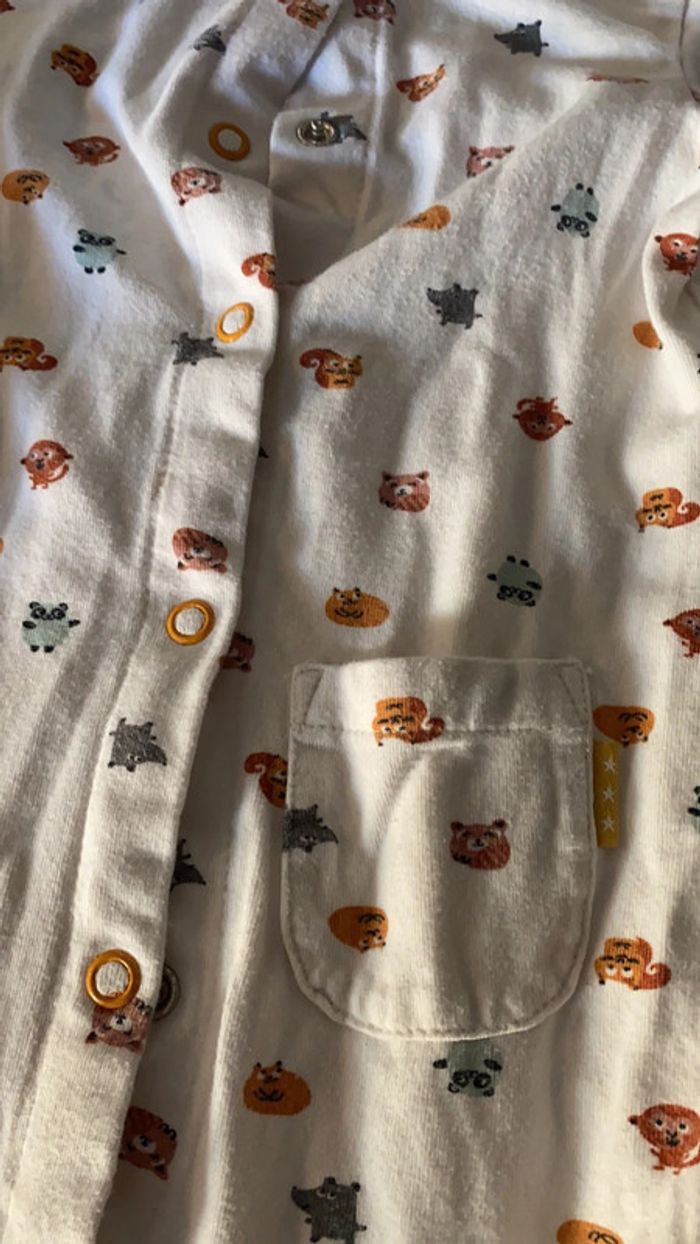 Grenouillère - photo numéro 8