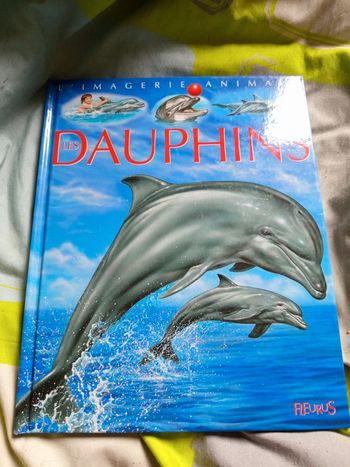 Bd la grande imagerie dauphins