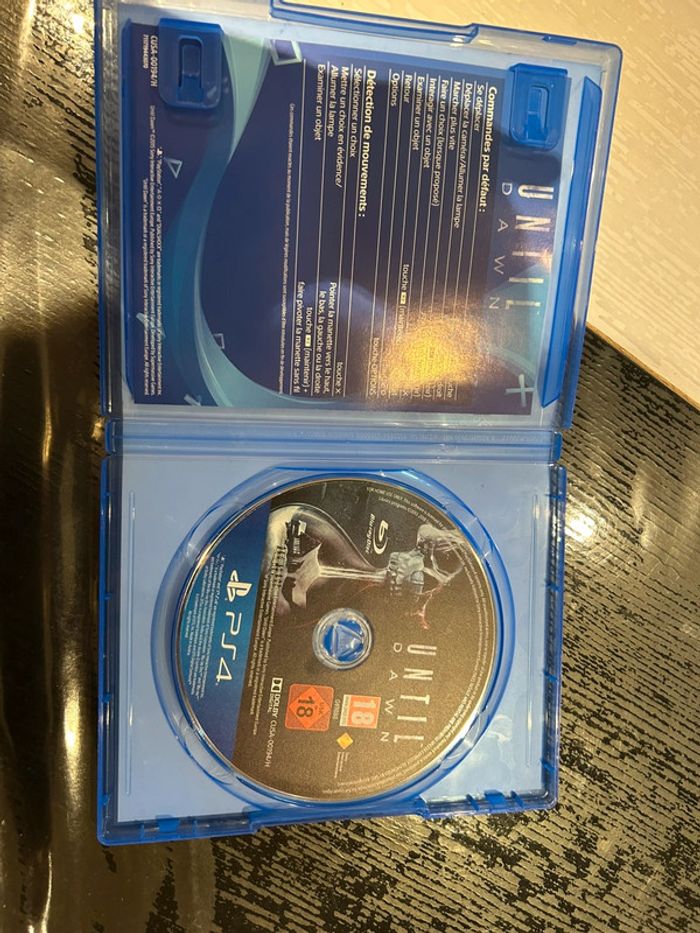 Until Dawn – PS4 – PlayStation Hits - photo numéro 2