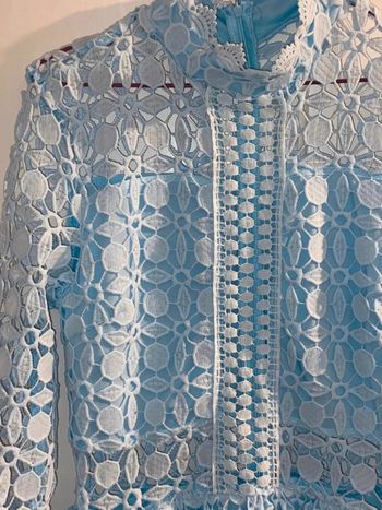 Blue Eilly Bazer dress