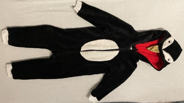 Surpyjama pingouin en polaire à capuche 4a 104cm