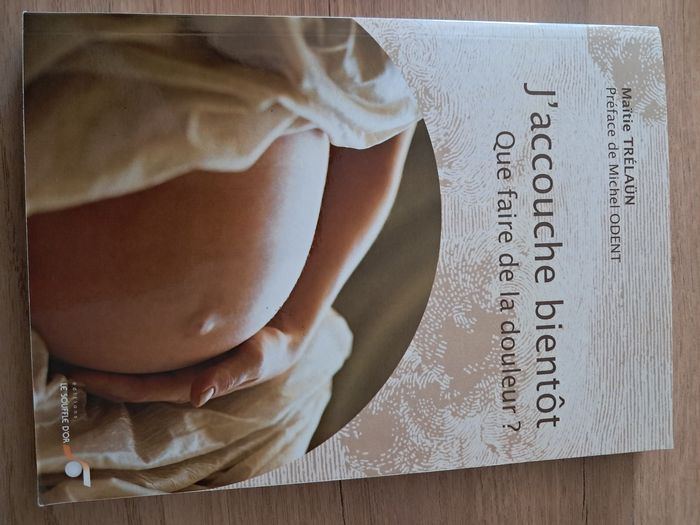 J’accouche bientôt. Que faire de la douleur ? Maïtie TRÉLAÜN