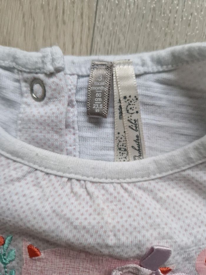 Ensemble Orchestra - photo numéro 6