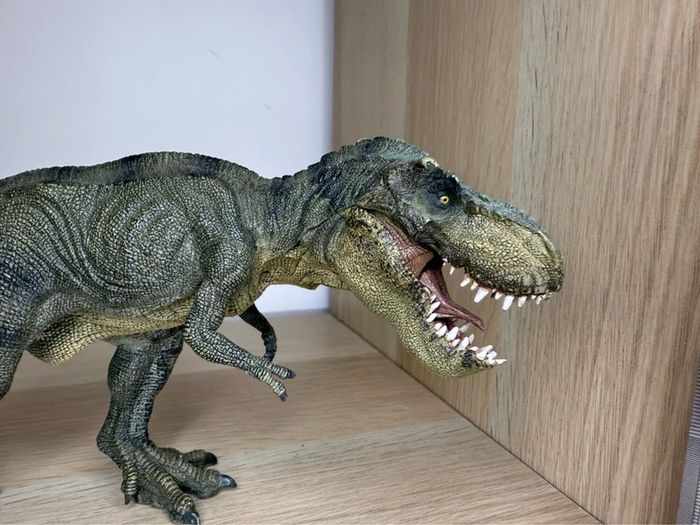 Tyrannosaures papo - photo numéro 3