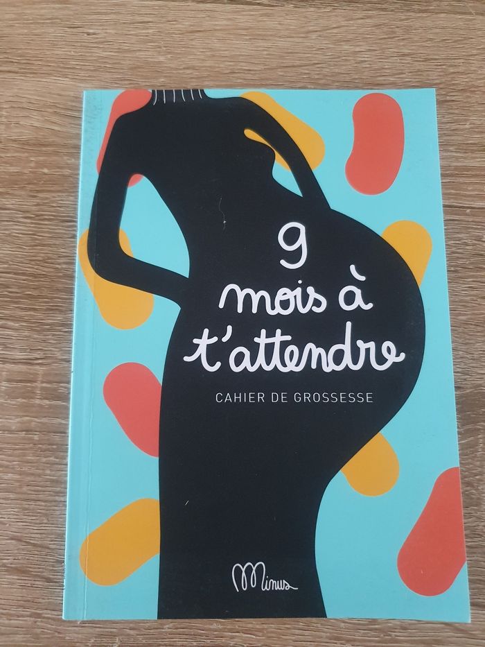 Livre de grossesse. 9 mois à t'attendre