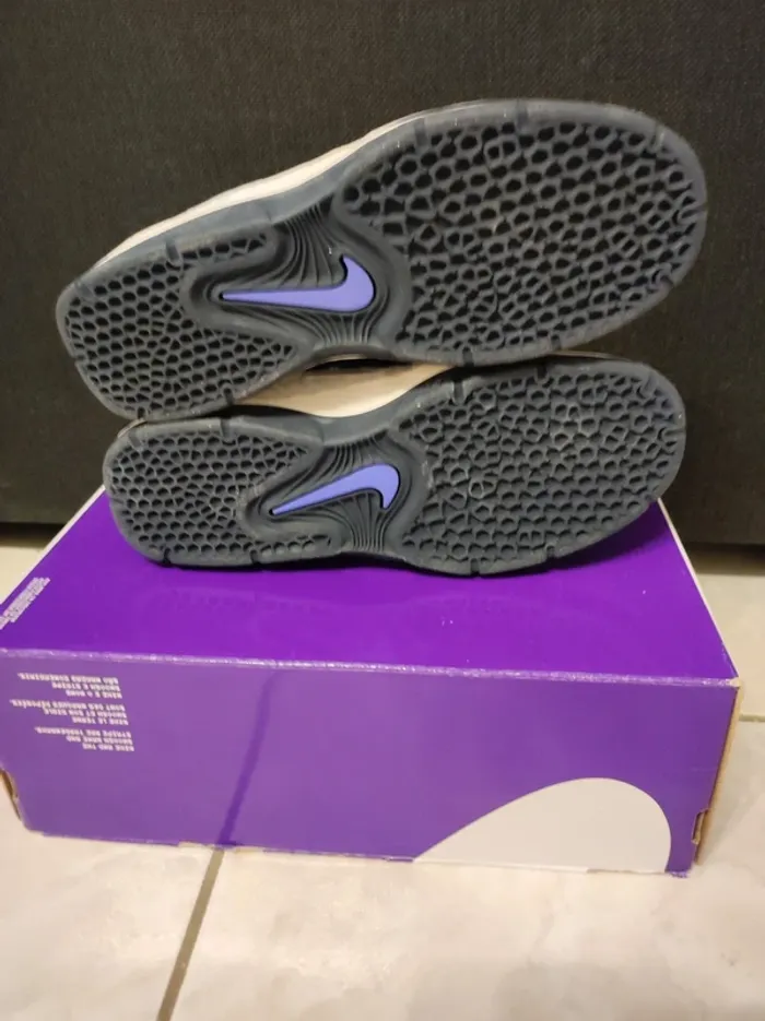 Nike SB Vertebrae – Neuves | Taille 40,5 - photo numéro 5