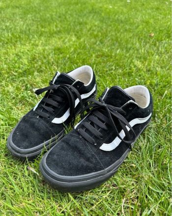 Basket Vans old skool