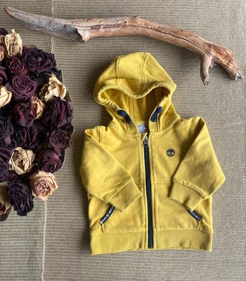 Veste à capuche taille 12 mois