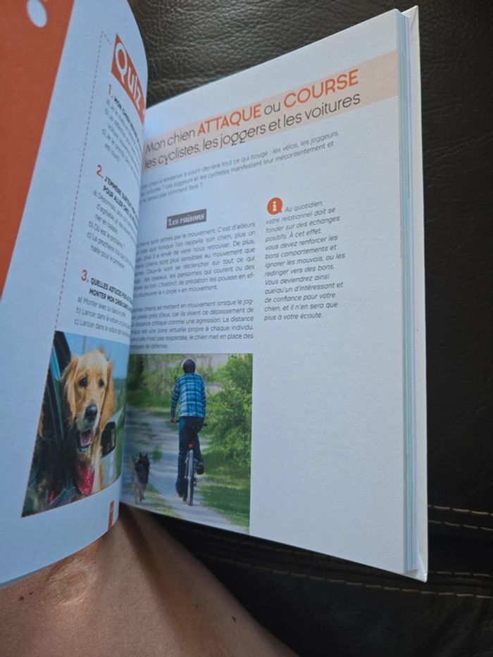 Apprivoiser don chien - photo numéro 5