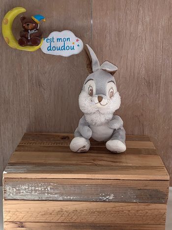 DY254 doudou lapin 🐰 Disney