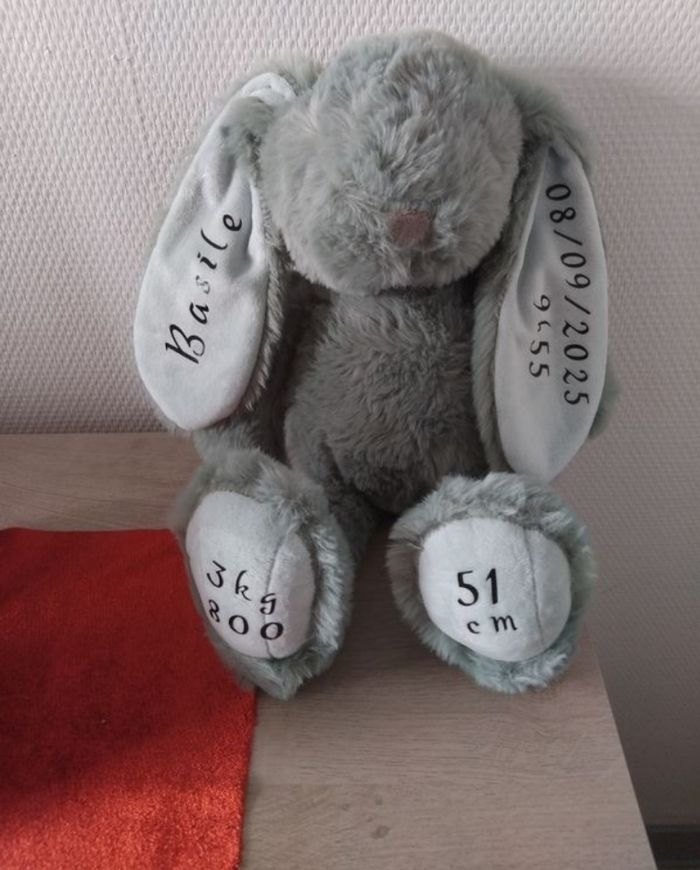 Peluche personnalisée - photo numéro 4