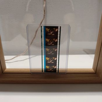 Pellicule démon slayer gyotaro