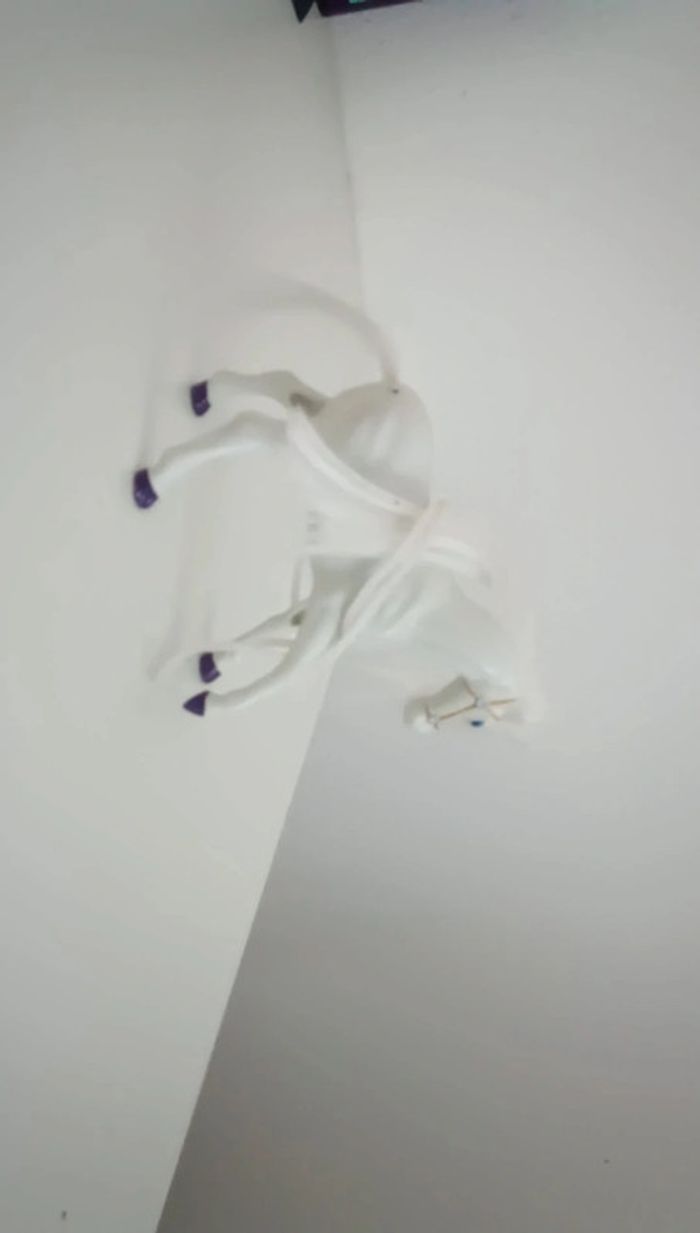 Cheval blanc - photo numéro 2