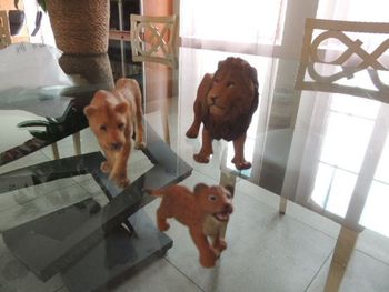 Famille félins papo (lion, lionne et lionceau)