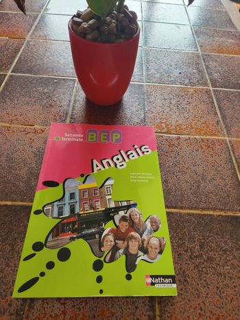 Livre anglais BEP seconde et terminale