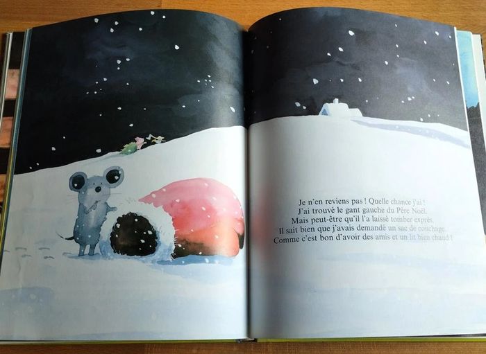 Livre enfant Sept cochons sauvages - photo numéro 6