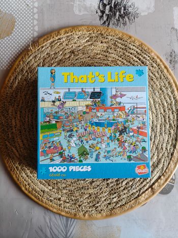 Puzzle 1000 pièces L'aéroport 