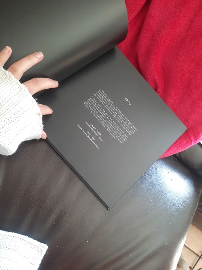 Livre hôtel au singulier p o - photo numéro 9