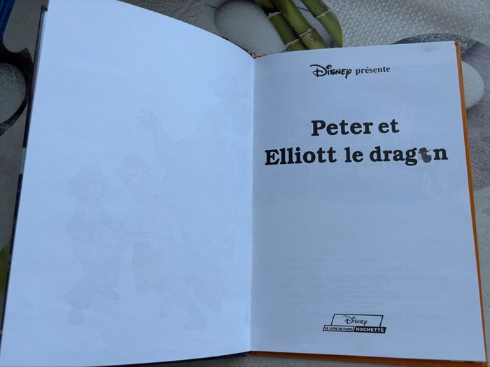 Livre Disney - photo numéro 2