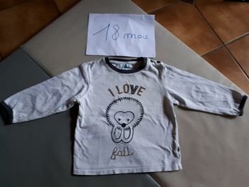 Tee-shirt okaidi 18 mois