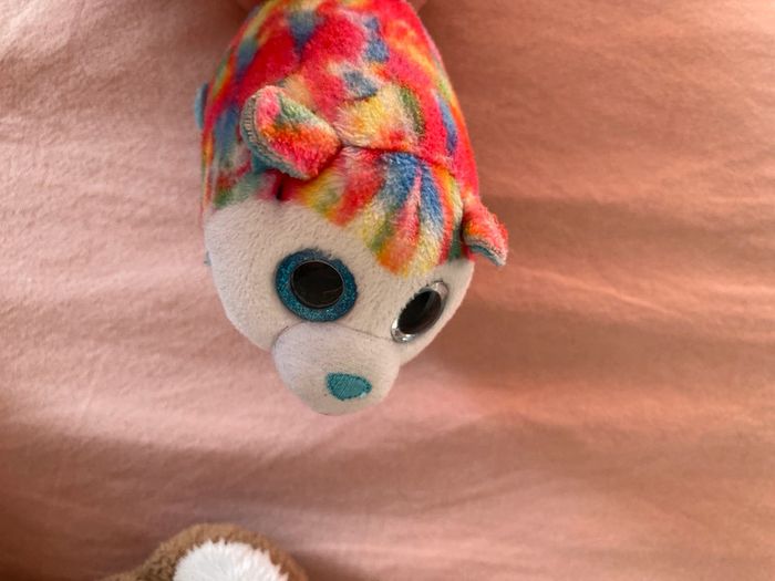 Peluches - photo numéro 2