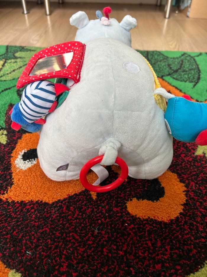 Axel hippopotame - photo numéro 3