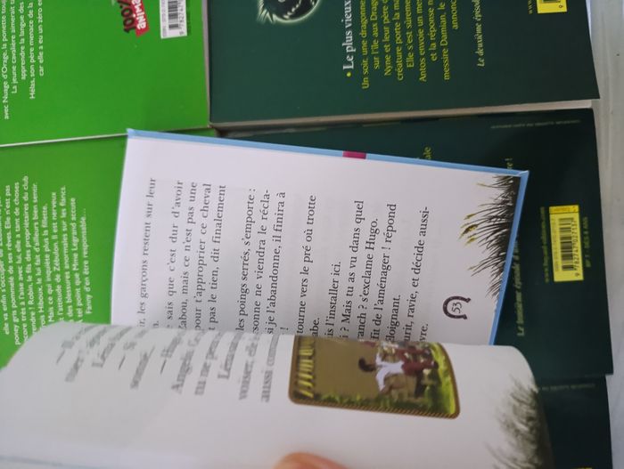 Lot de 7 livres pour enfant Fanny le ranch et les dragons de Nalsara - photo numéro 3