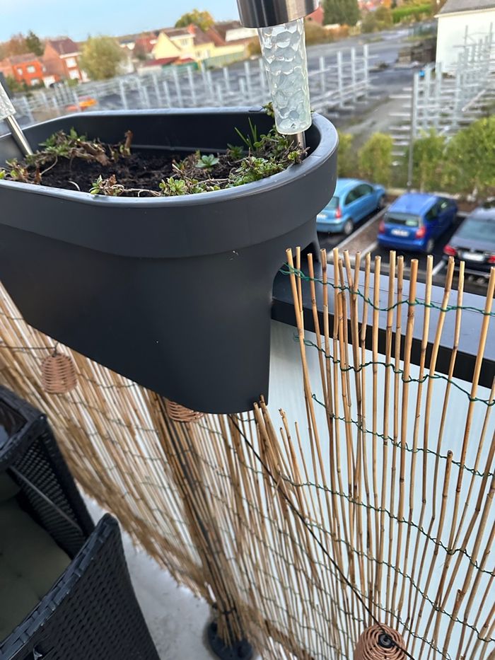 Jardinière - photo numéro 4