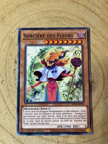 Carte Yu-Gi-Oh! : Sorcière des fleurs - LED8-FR028