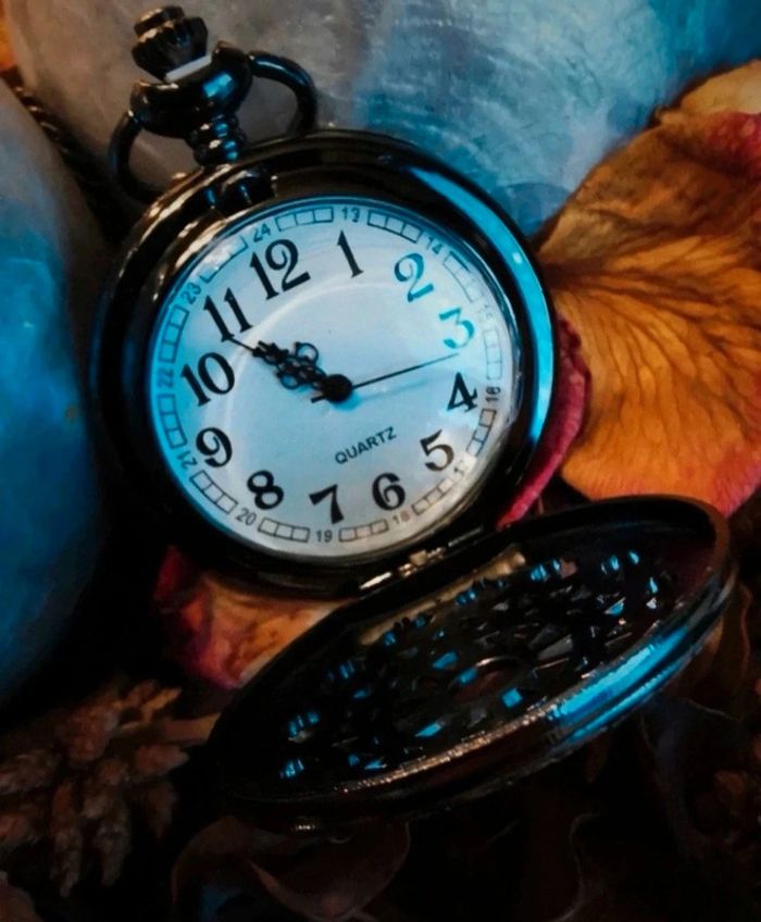 F61 montre à gousset rétro vintage originale bronze noire - photo numéro 3