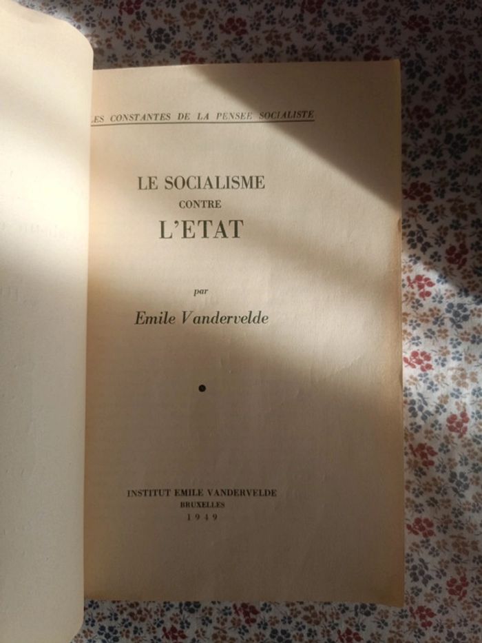 Le Socialisme contre l'Etat - photo numéro 4