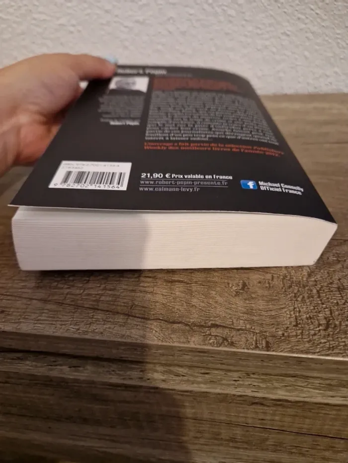 📚 livre dans la ville en feu - photo numéro 5