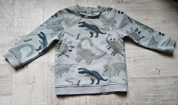 Pull dinosaures 18 mois