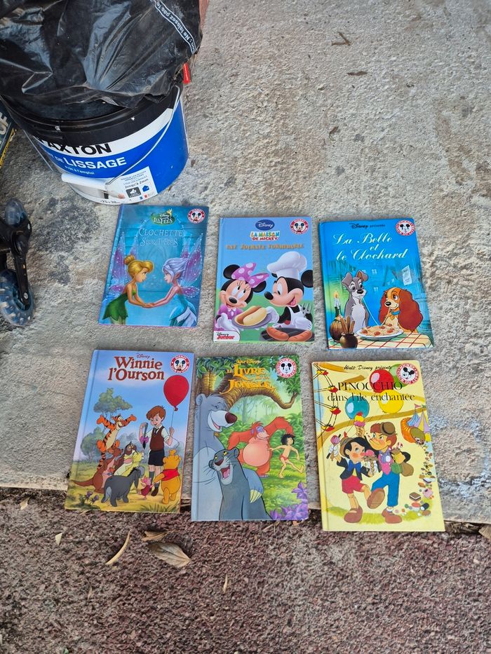 Lot livre Disney - photo numéro 2