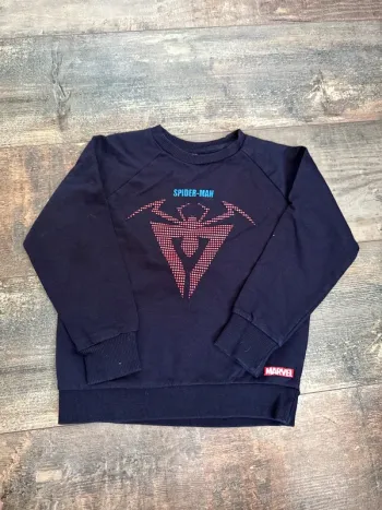 Pull Spiderman 4-5 ans