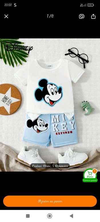 Ensemble mickey