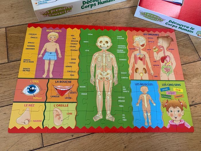Mes premières découvertes , Puzzle découvre le corps humain - photo numéro 5
