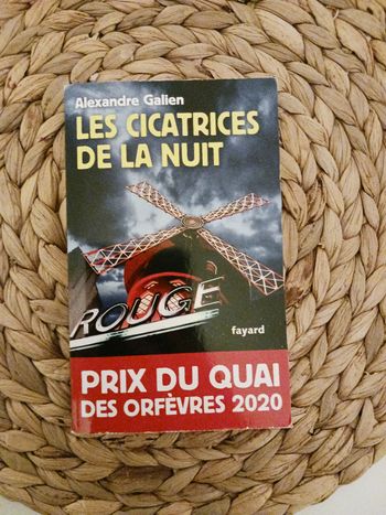 Polar thriller les cicatrices de la nuit