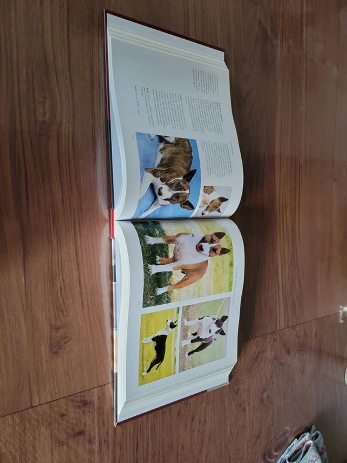 Livre sur les chiens - photo numéro 4