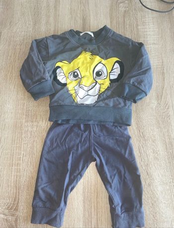 Ensemble simba